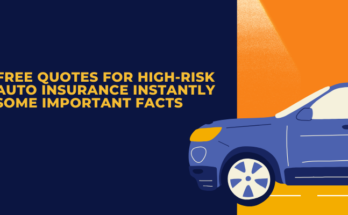 Free Quotes for High-Risk Auto Insurance Instantly Some Important Facts