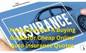 Young Drivers A Buying Guide for Cheap Online Auto Insurance Quotes