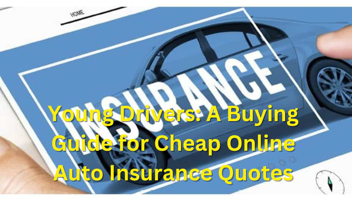 Young Drivers A Buying Guide for Cheap Online Auto Insurance Quotes